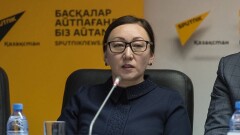 Биологи Казахстана предложили новый метод очистки озера Талдыколь
