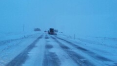 Пассажиров 80 застрявших в снегу автобусов в Жамбылской области вывезли на поездах