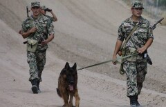 Руководство погранслужбы Казахстана признало свою неорганизованность