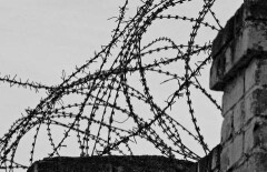 Заключённый из Алматинской области найден повешенным после жалоб на пытки