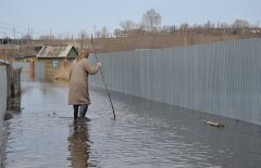 Дачи Петропавловска тонут в нечистотах