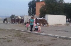 Наркозависимость Отарской дивизии