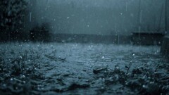 Сводка погоды на 22 августа: дожди с грозами и порывистый ветер обещают синоптики