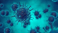 Коронавирус в мире: США обогнали по количеству заражений Covid-19 все другие страны