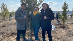Экоактивисты в Алматы посадили сосны на месте будущего бора