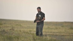 Тодд Кацнер, американский орнитолог: Степной орёл в Казахстане находится на грани исчезновения