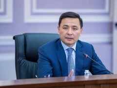 Кульгинов: Я не покупаю ёлки, которые вырублены кем-то, это бесчеловечно