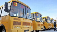 Хорошун в течение месяца предложит варианты внедрения школьных автобусов в Астане