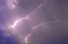 Жителя Шахтинска, предположительно, убило молнией