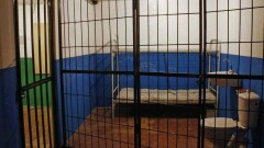 Почему закрываются тюрьмы в Казахстане