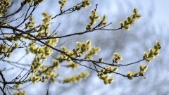 Прогноз погоды на 28 марта: осадки сохранятся на большей части страны
