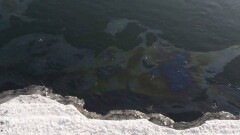 В ВКО закрыли дело по факту обнаружения на Иртыше нефтяных пятен