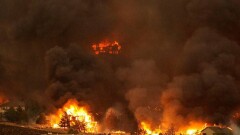 Почти 150 человек, включая 90 детей, блокированы лесным пожаром в Калифорнии