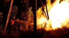 62 человека погибли в лесных пожарах в Португалии