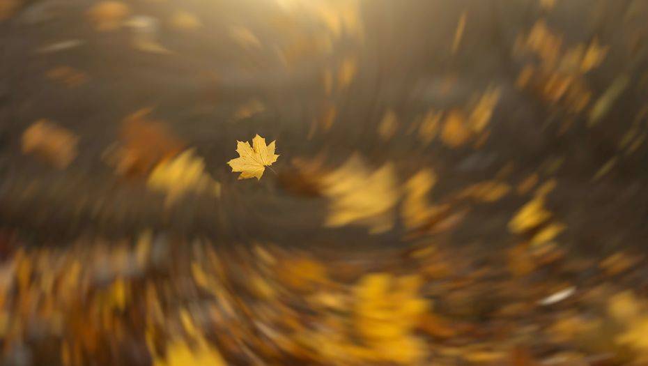 Фото с сайта shutterstock.com