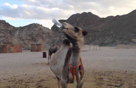 Фото с сайта ytimg.com