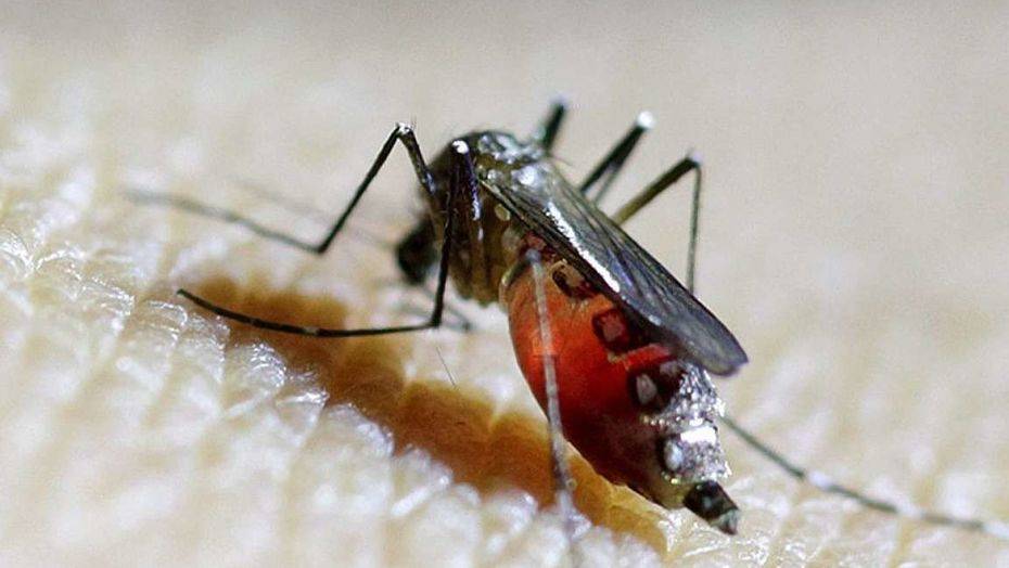 Фото с сайта Reuters