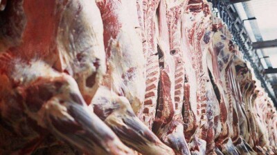 Казахстанские фермеры ищут новые рынки сбыта на случай запрета ввоза мяса в Россию