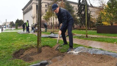 Бауыржан Байбек с депутатами посадил деревья на улицах Алматы