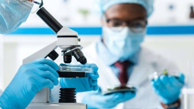 В Индии учёные создали новый тест, чтобы распознавать геном коронавируса