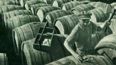 Виноградники в Казахстане: как они расцвели и как их погубили