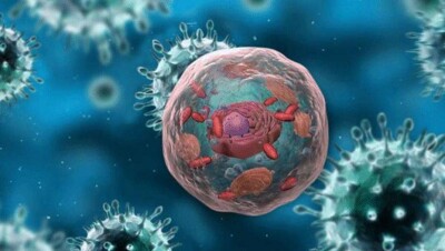 Опухоль головного мозга у мышей вылечили, заразив их вирусом Зика