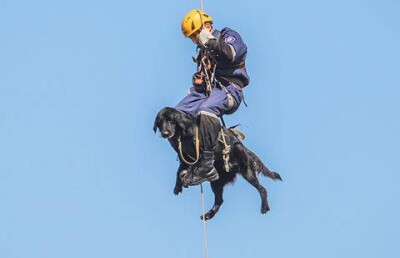 В Алматы на сейсмотренировке людей эвакуировали летающие собаки