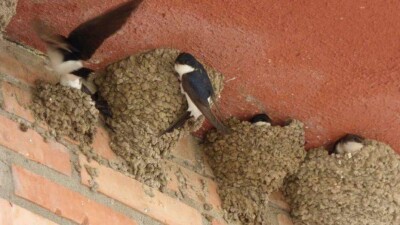 Кеңістік үшін күрес