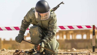 На разминирование границы между КНДР и Южной Кореей уйдёт 200 лет, посчитали военные