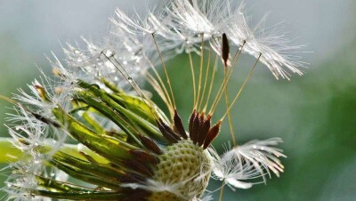 О погоде 4 июня в Казахстане сообщили синоптики