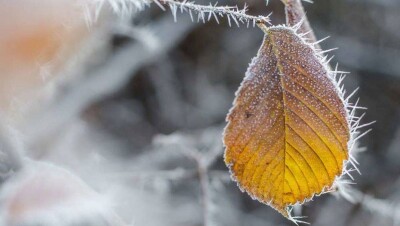 Прогноз погоды на 27 сентября: в восьми регионах Казахстана ожидаются ночные заморозки