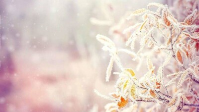 Прогноз погоды на 2 ноября: метель ожидается на севере страны