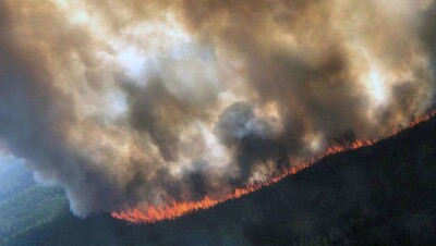 Площадь лесных пожаров в Сибири значительно уменьшилась