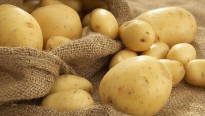 Крестьяне Костанайской области рассказали, почему дорожает картофель