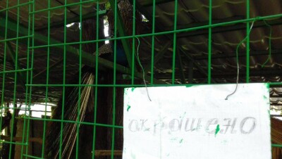 "Чёткое внимание" к животным ядовито-зелёного оттенка