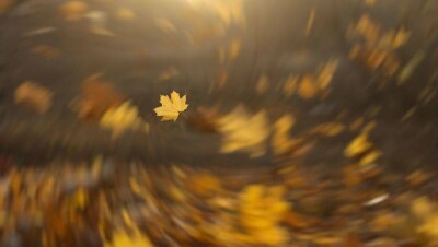 Прогноз погоды на 16 октября: в Казахстане ожидается туман и усиление ветра