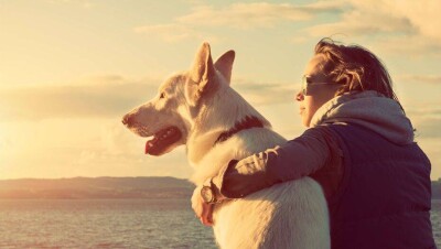 Митинг в поддержку ужесточения наказания за жестокое обращение с животными пройдёт в Алматы