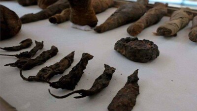 В Египте археологи нашли в гробнице мумии мышей