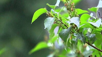 Дожди ожидаются на большей части Казахстана 3 мая