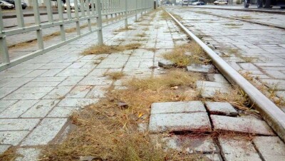 Педагоги Павлодара готовы купить жильё семье пострадавших в ДТП с трамваем