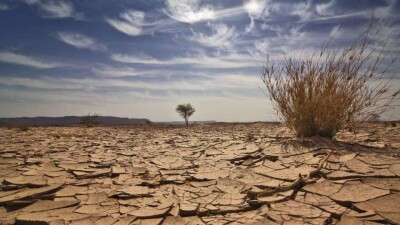 В Казахстане самый бестолковый водный кодекс – эксперт