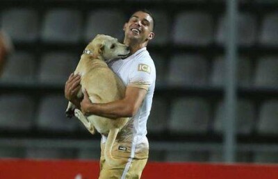 Очень дружелюбный пёс стал героем футбольного матча Кубка Либертадорес