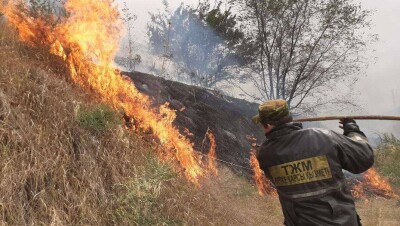 В Алматы загорелся сухостой на склоне вдоль ВОАД. Дома частного сектора удалось защитить от огня