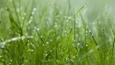 Прогноз погоды на 29 августа: дожди с грозами пройдут лишь на востоке и западе Казахстана