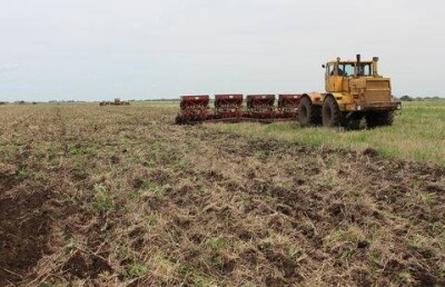 В Казахстане приостановили аукционы по продаже земли
