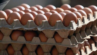 Птицефабрика Костаная готова выплатить долг коммунальщикам яйцами