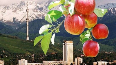 Ко Дню Алматы в городе организуют фуд-фестиваль, "яблочные" игры и выставки