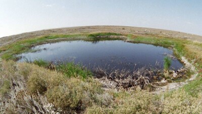 Земли Семипалатинского полигона предложили вернуть в сельхозоборот