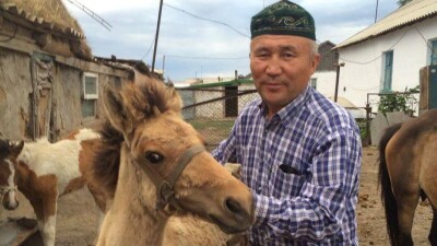 Ақмола облысының тұрғыны күбіде қымыз пісуді автоматтандырды (видео)