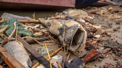 МВД: Причиной массовой гибели рыбы в Атырау стало отравление хлором